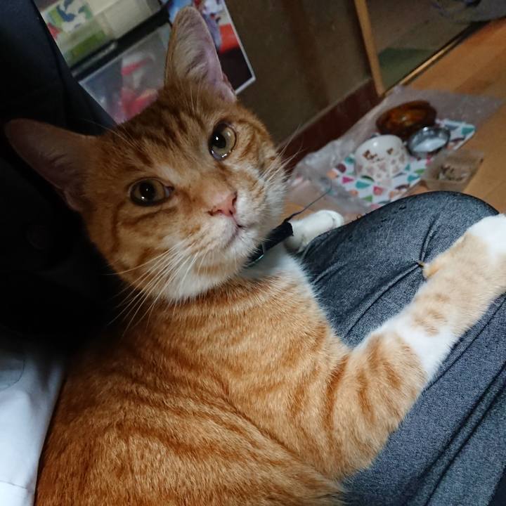 Ec17ac04 511c 43e7 9bc6 f0264e69cc71 1602539996358