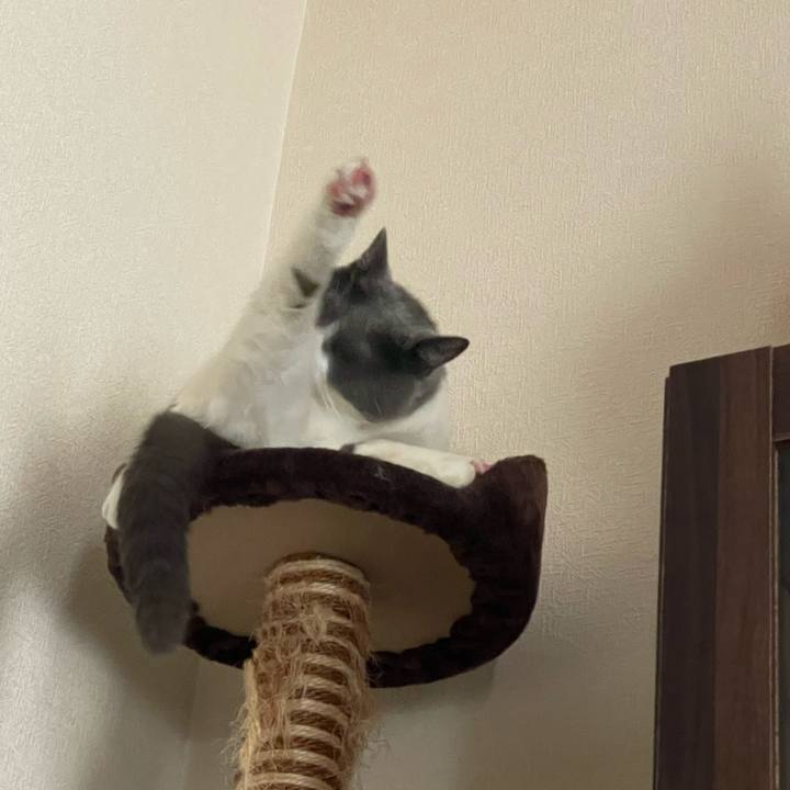 Ec17ad32 e564 4cd5 a953 3d4442664b1c 1751616255076