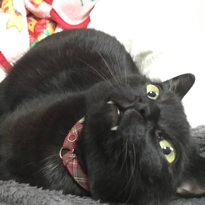 Ec17fe70 15d9 4aa3 a6b4 07633b357fe5 1508391138987