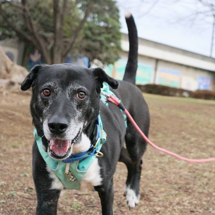 Ec17ff53 27b9 41b1 a3aa c6af77db2b7c 1773967389645