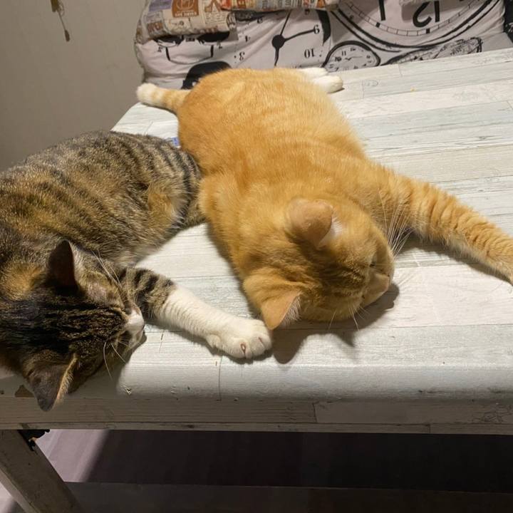 Ec1805c7 182d 41b0 9b51 2fe6d945895e 1630159117333