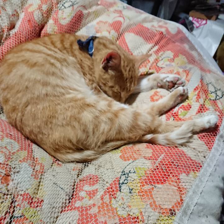 Ec182cf7 6234 4f29 8ad4 a92a67ba16c0 1560776246163