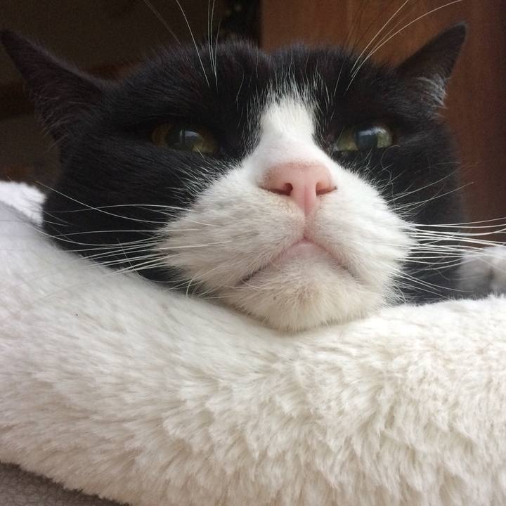 Ec183339 d042 45ce 9df2 6afee2263a72 1574896626051