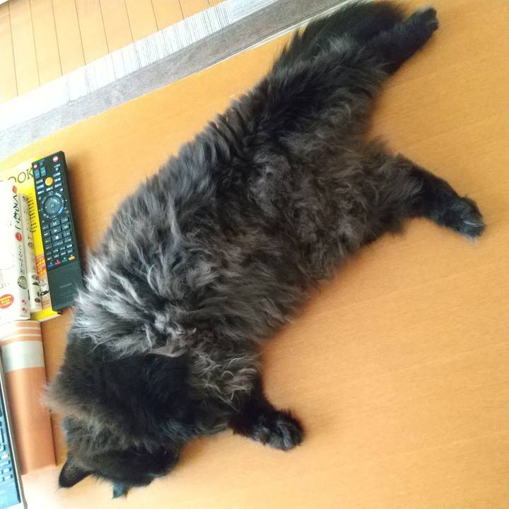 Ec187a64 ed72 4c8d 8b23 66c2e8687345 1626581245885