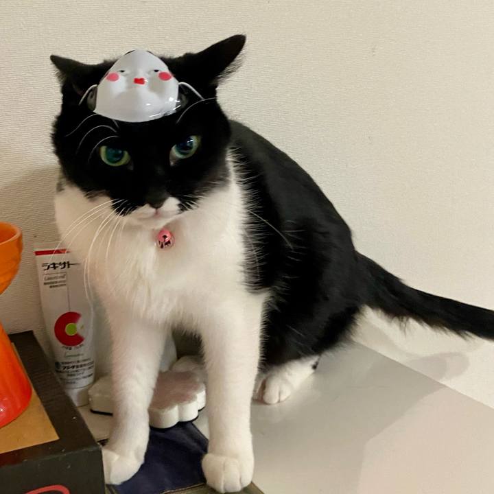 Ec1944c4 6e06 4a31 91b2 0f072603fc99 1706956783389