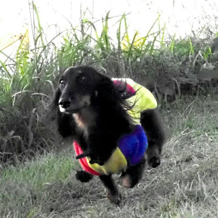 Ec19951b 4c8e 4ab1 9dec 6adc76bc3807 1541210103400