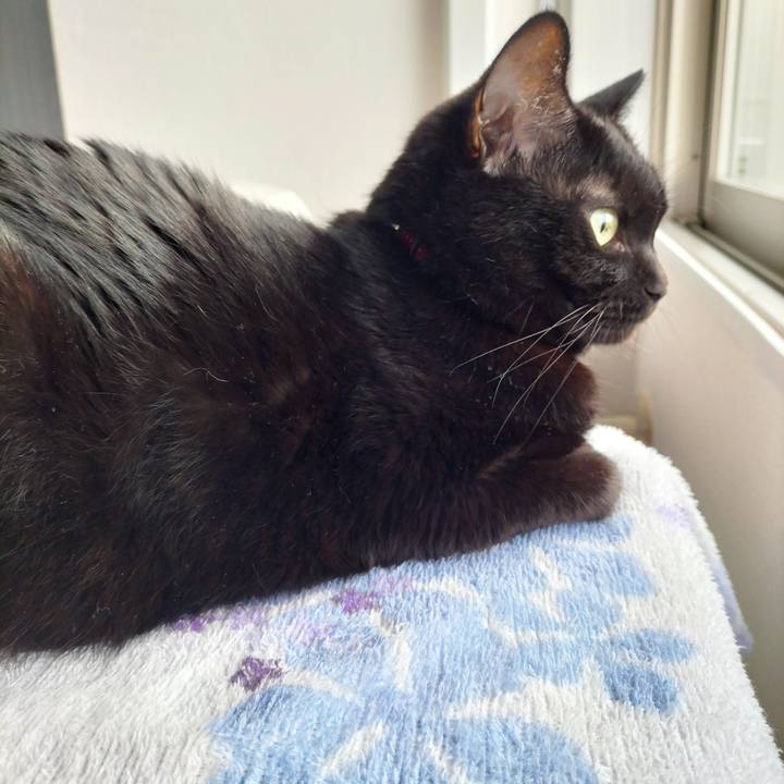 Ec19a4e5 21c3 4f57 ad35 3509645c261c 1696977583544