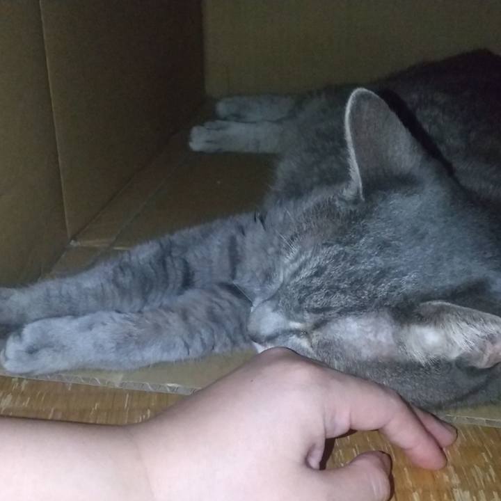 Ec19a61b e91d 4131 a89b eb95ec78f6ec 1663463427670