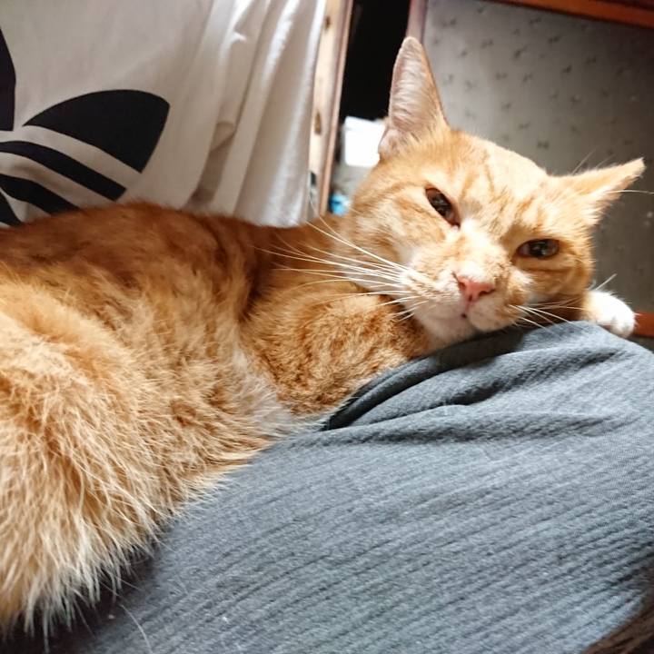 Ec19c510 7267 4c9e 801d dd424116ec1d 1600114307372