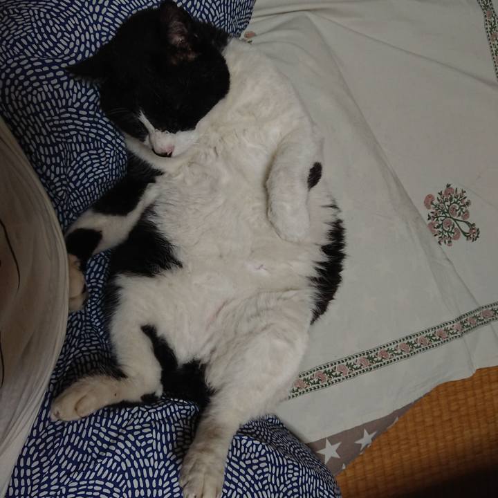 Ec19cdcc c454 4cc7 a80b 1f17ce0bcd78 1625400447318