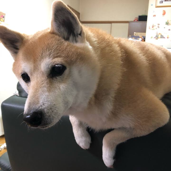 Ec19d13e 8a1f 4def 8ad0 aff50bf4d33a 1580041730608