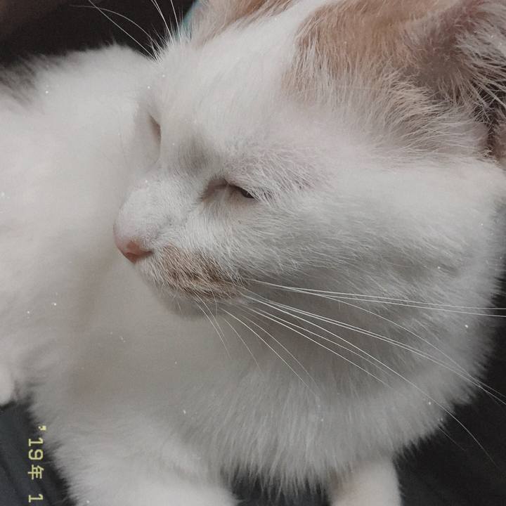 Ec1a3109 f94b 42bf 92a6 7a2bdc6356f0 1572862133507