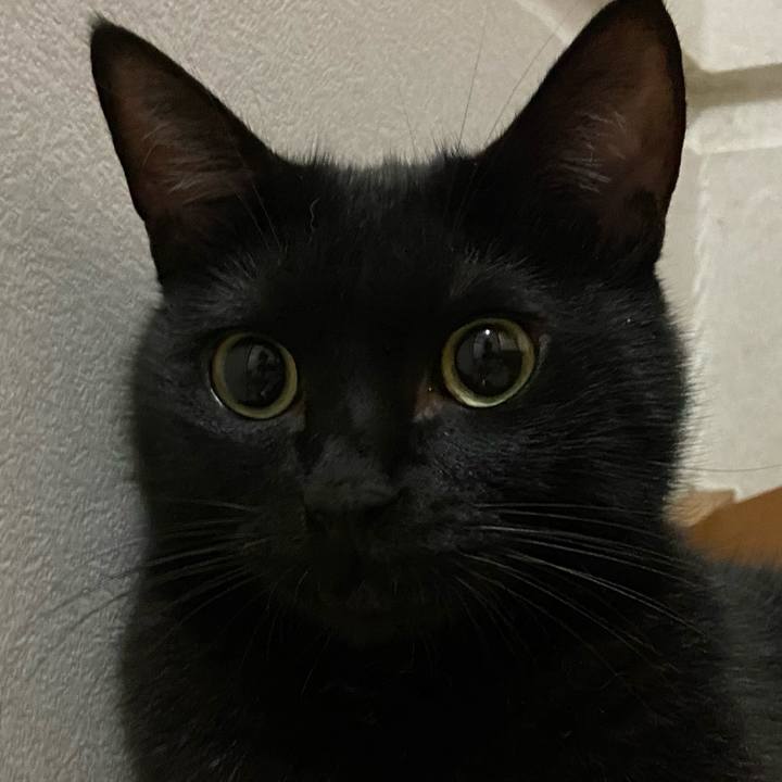 Ec1a315a 9cd4 44ee b40a 3418399ae416 1660741789908