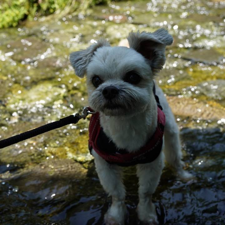 Ec1a347e 4d3f 42e8 890c a38ab609c984 1656420434608