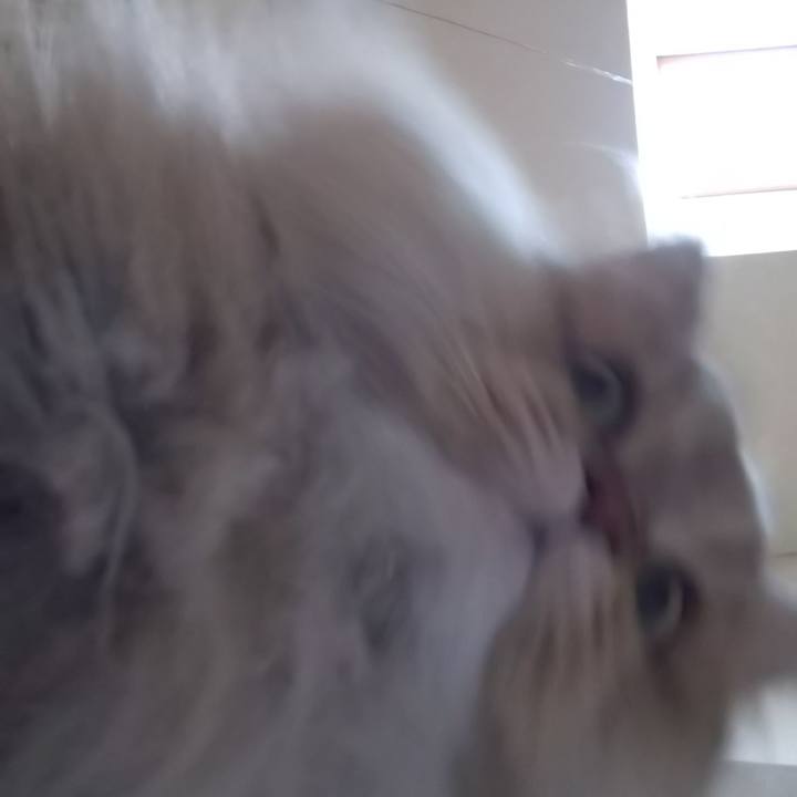 Ec1a5044 605a 44b5 93f9 48dbe553d11d 1610424860968