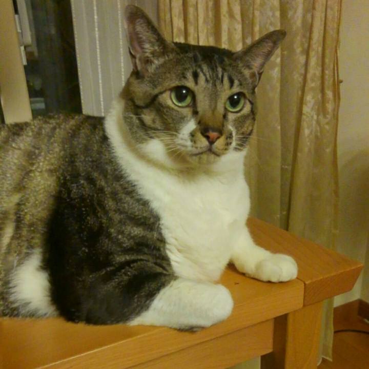 Ec1a5a6b 1b50 4c18 bc24 a98d534d628b 1508768240710