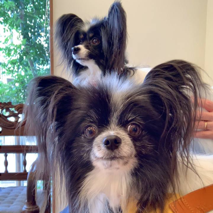 Ec1a77bc 7ae0 45c9 b5e0 8e145ef10e6d 1579224772754