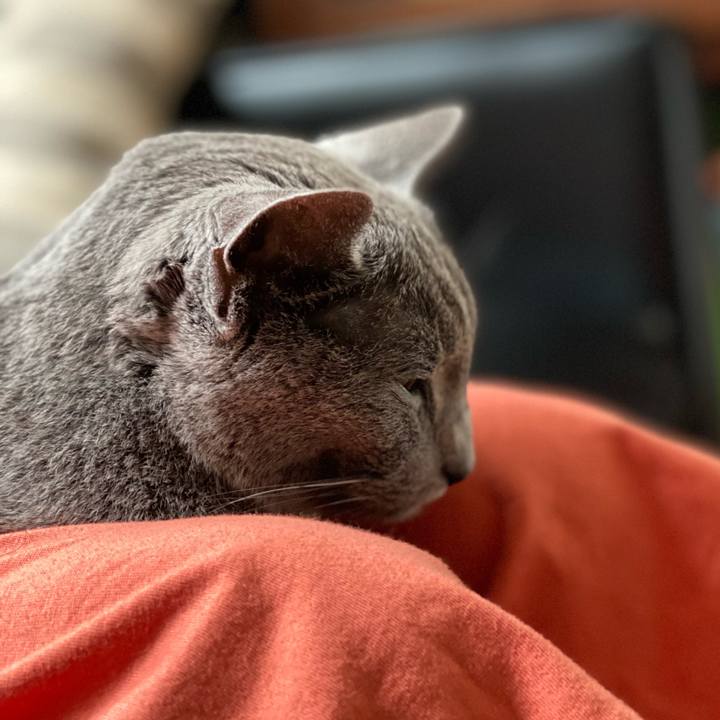 Ec1ab19c 104f 42fc a856 5025667eb5a6 1626949608003