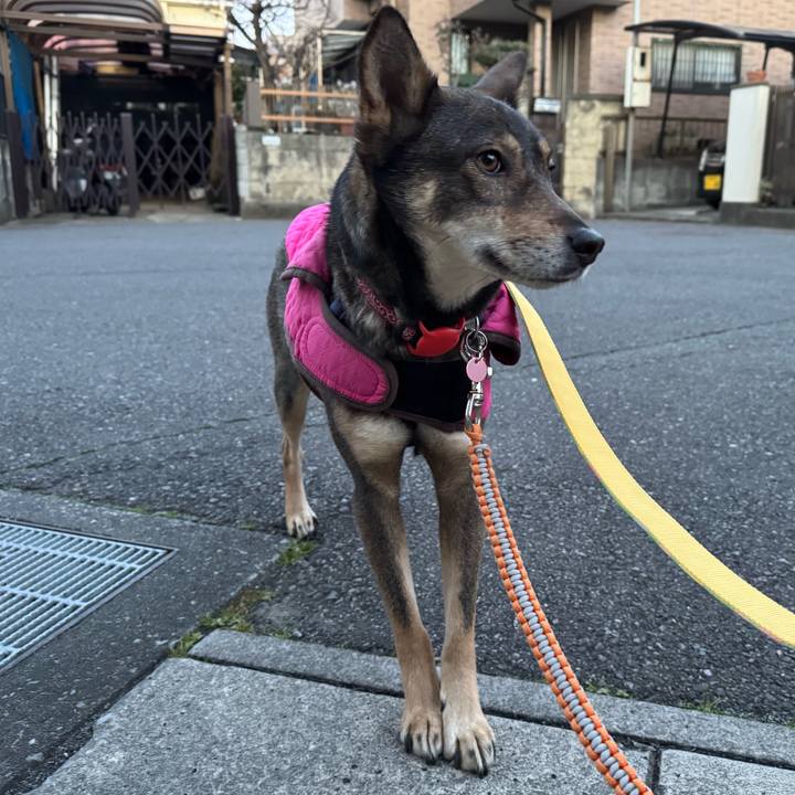 Ec1ac83d 87fb 47cf b55b 1f1d641a80c8 1770345921950