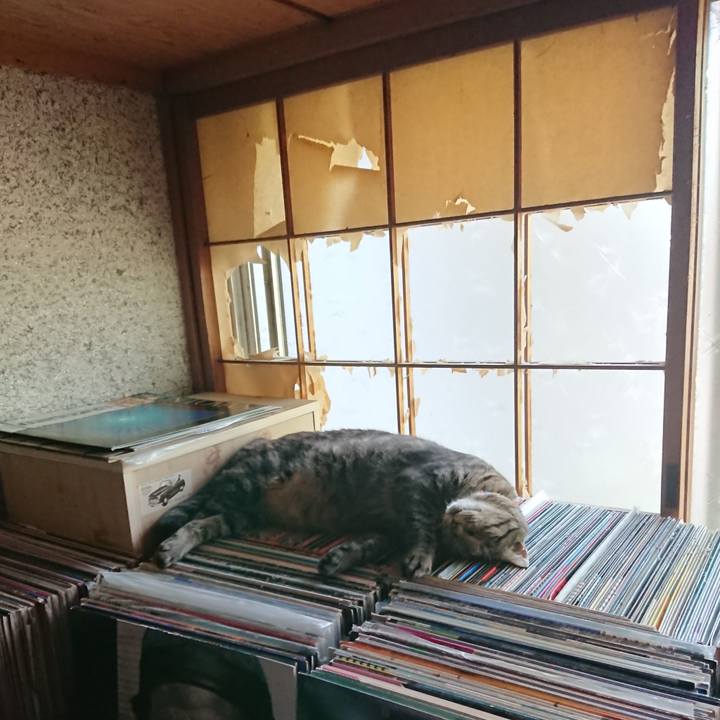 Ec1b3f69 21dc 4517 8b53 14200f3e20c4 1659254854580