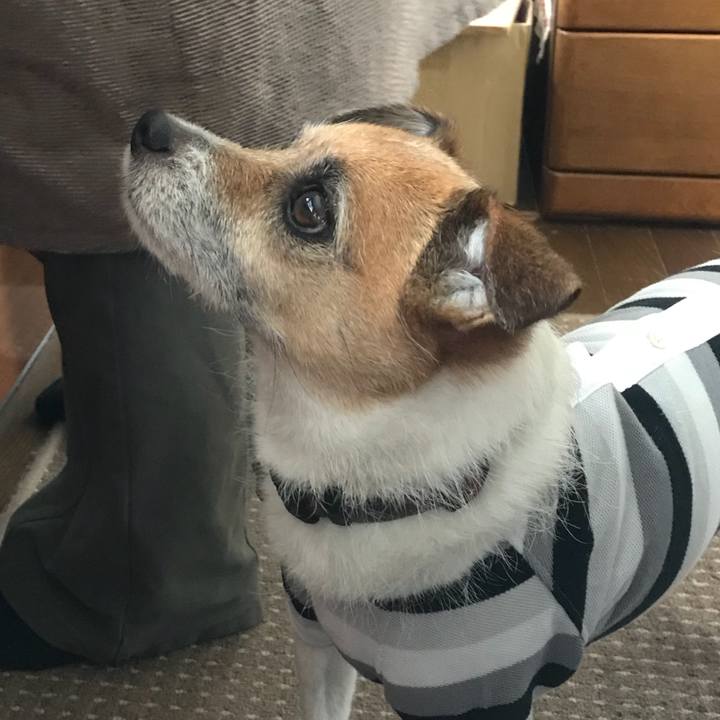 Ec1b413a bc30 4d6c 9112 3fe16a1fd5a7 1524628783246