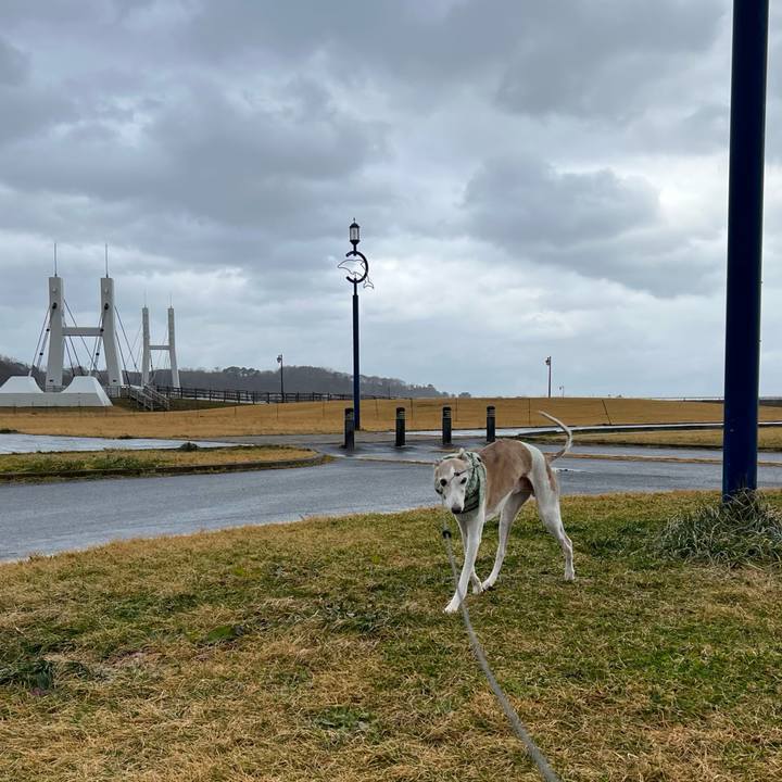 Ec1b6016 4098 477c a758 7ef7b8eb9bad 1765874302529