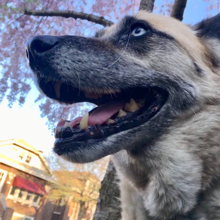 Ec1b719f 8b64 4911 977c 81e251d60294 1526143762147