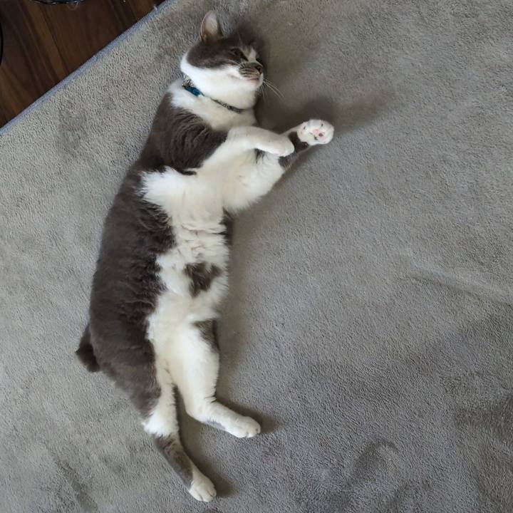 Ec1b8cd9 766d 4cf6 b01b 45552ad26ebb 1754619140309