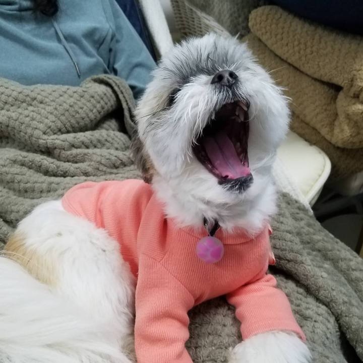 Ec1ba65d 2e00 4edd 99c4 e5e6eef38493 1550955007376