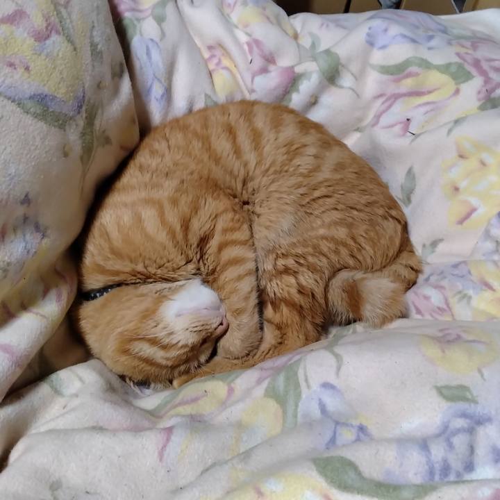 Ec1bf6a1 e936 4465 aca3 220cad0c5e97 1669465037189