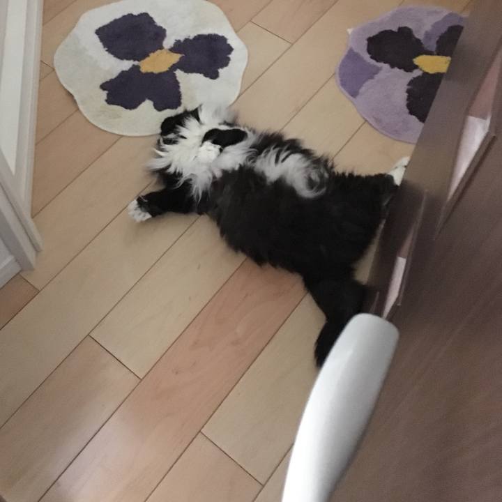 Ec1c2b66 8c43 4749 a6c6 bc1bcc70ab79 1522727721129