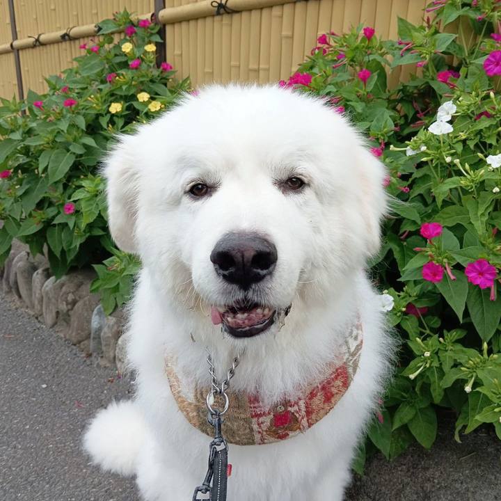 Ec1c4984 bf46 40d5 8b24 8b3609217e32 1719048603254