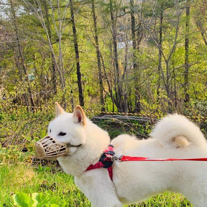 Ec1c68ef d0ca 4bed 916a 84daf15bf005 1588976897077