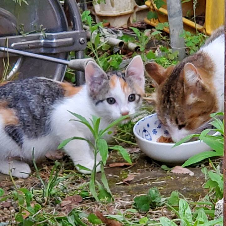 Ec1c6d76 1eee 42fa 8f16 ff3197574447 1686641063285