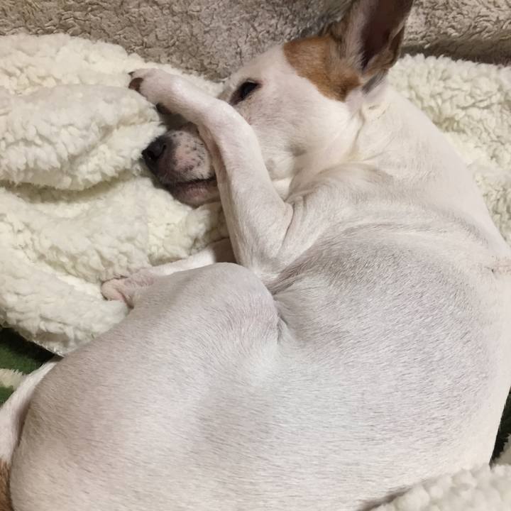 Ec1cb722 3f29 478d 9e39 edf2166c693a 1515405146738