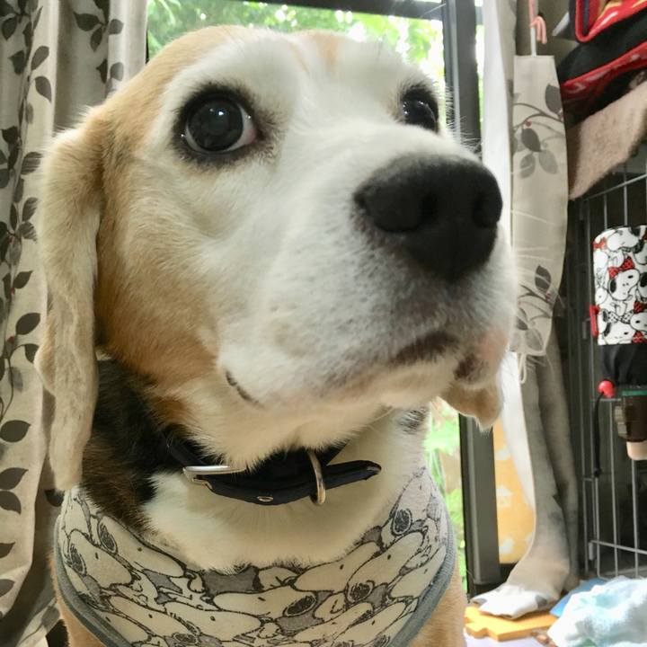 Ec1cc1ef e9d4 4347 820a 50570b451774 1562042387492