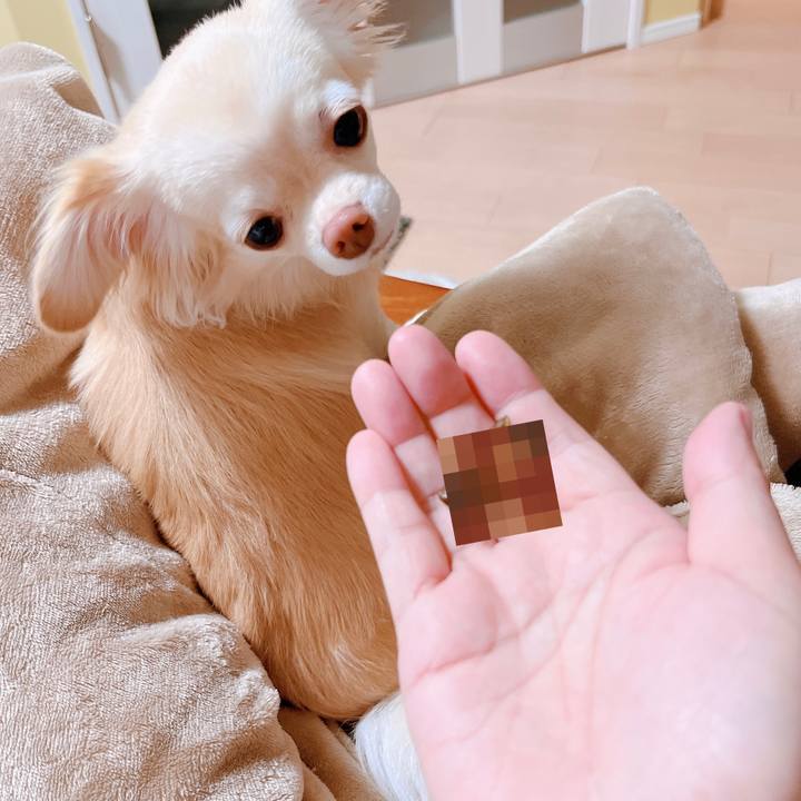 Ec1cdfd7 d6d8 42e9 9600 2ff71d770f78 1661335046095