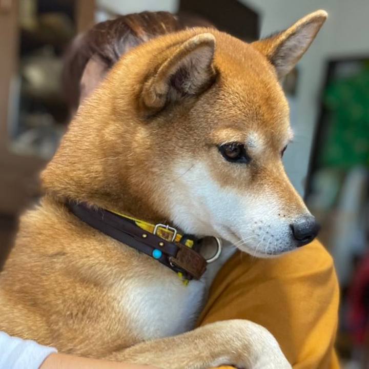 Ec1ceacd 53aa 4dab b820 30938beb1058 1605960137152