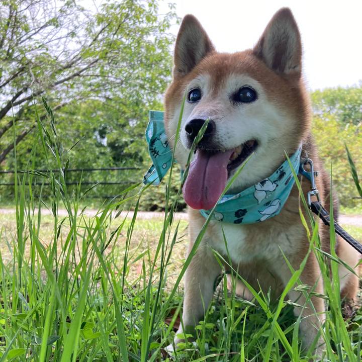 Ec1cee0f 1065 4c21 a450 aff686aaf6a5 1718865901699