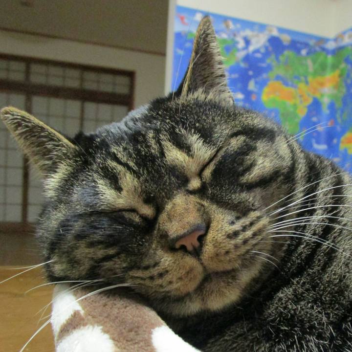 Ec1cfdb9 1e96 41e6 8f72 90621b5e3f50 1511453023424