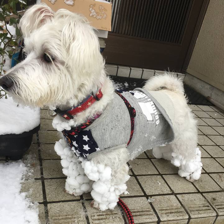 Ec1d2590 1013 44ca 89f7 541ff16bd02e 1517508157500