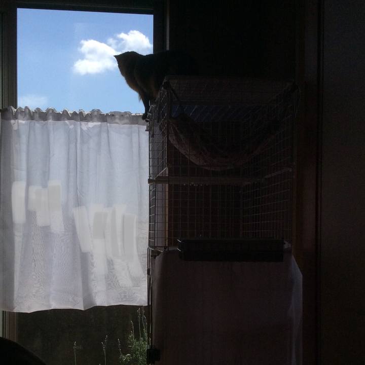 Ec1d639f 80a8 4c52 9aa1 d4315d7e4220 1616556357983