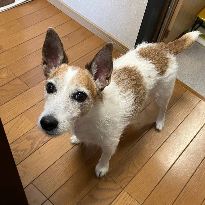 Ec1d7fe2 215d 473f 83db f4b855758bdd 1723072623111