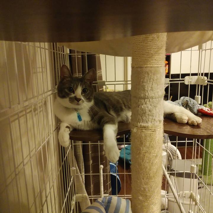 Ec1d9e5e 6cca 408c 8706 8859da52dc7e 1592579610604