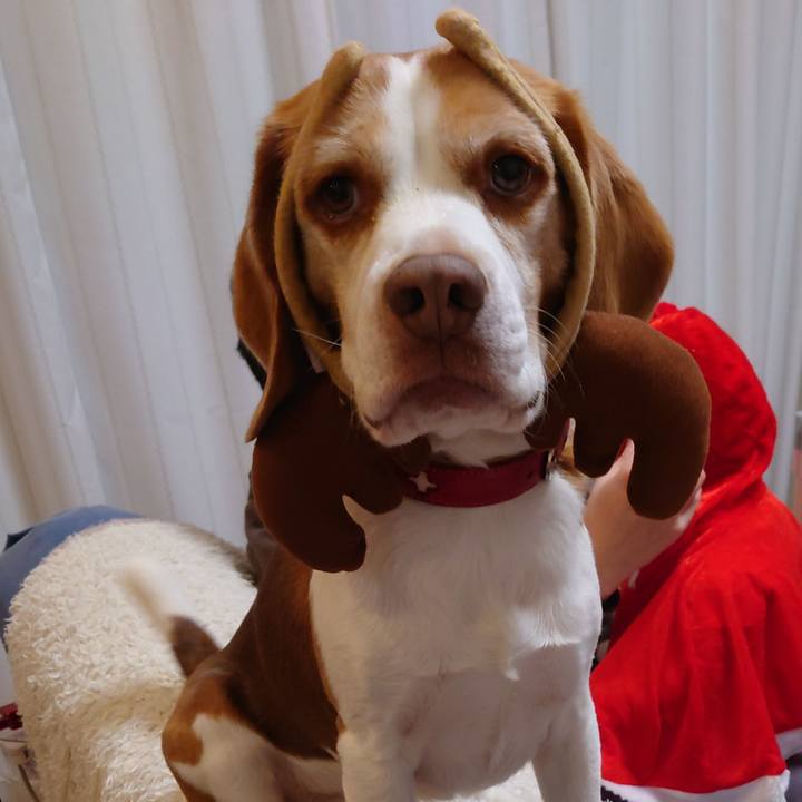 Ec1da377 a40b 46bf 98ce cdd14fd2d47b 1671878043954