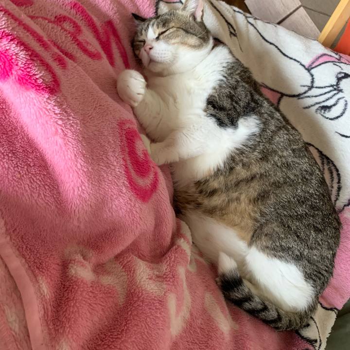 Ec1dd3a7 eadd 4788 8578 1fb2163b9e27 1695628798552