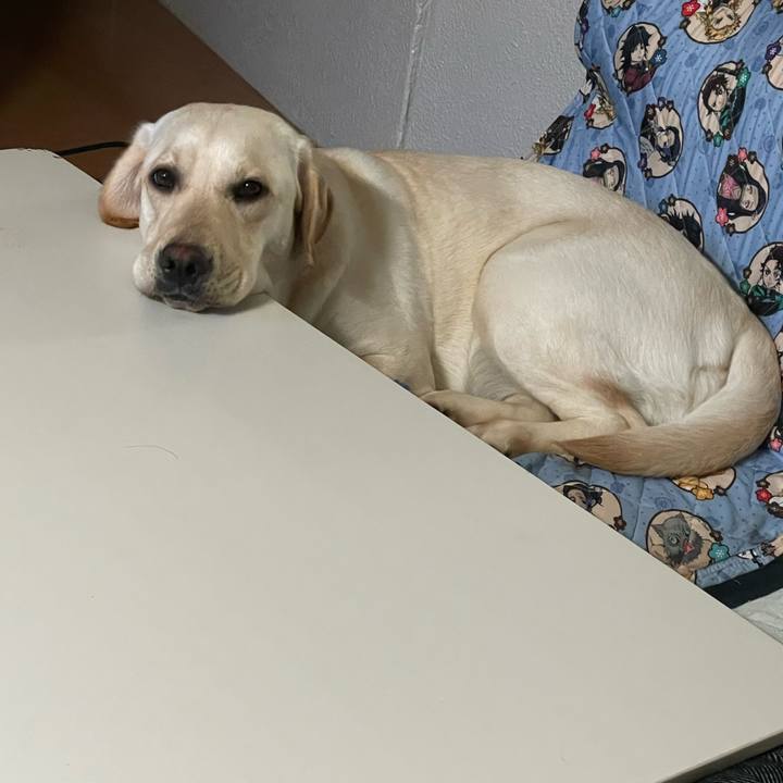 Ec1de1ce e590 456d 85b7 aecf341b7eb7 1648430425636