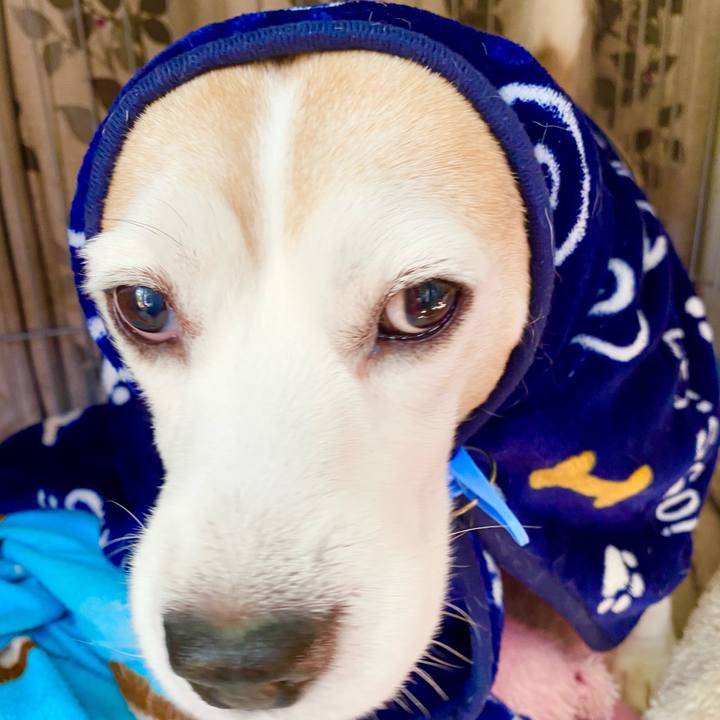 Ec1e1002 c2e8 4fdc a30a 45bbe187cdca 1612756753101