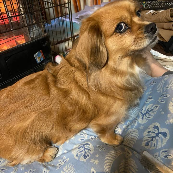 Ec1e1df6 f953 4315 815a 4a330449e487 1611092706777