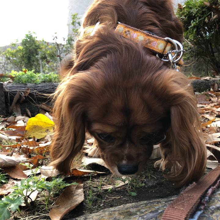 Ec1e2c69 fde7 4950 bea1 9d3cdea1080c 1606574467840